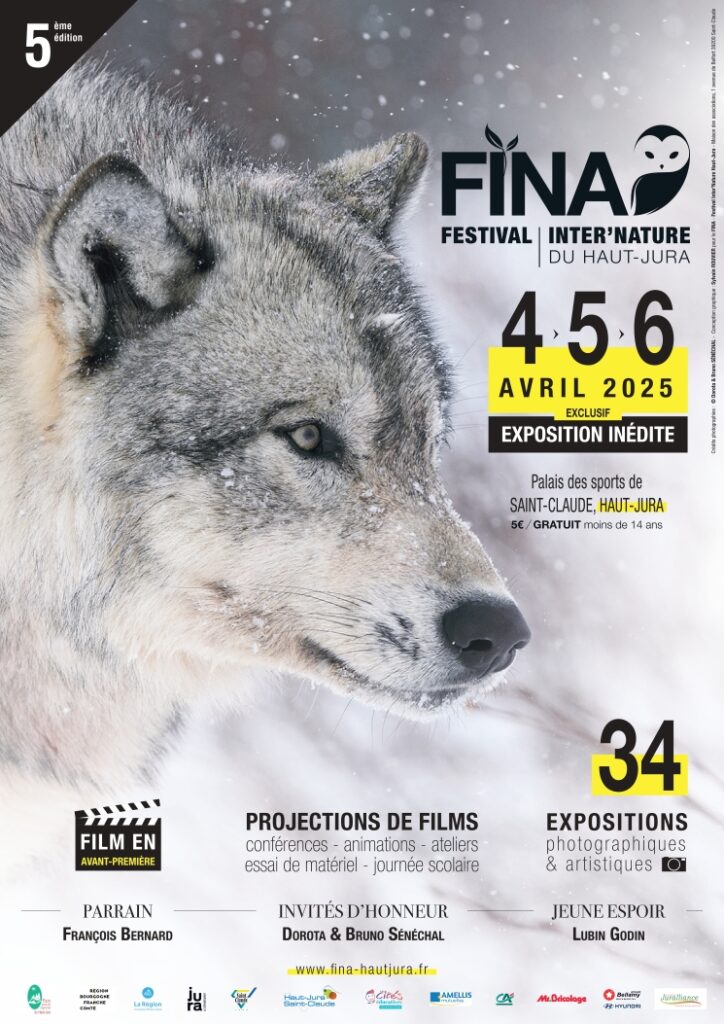 Affiche du festival 2025 avec un loup